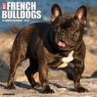 Willow Creek Press - French Bulldogs 2026 12 X 12 Wall Calendar