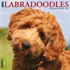 Willow Creek Press - Labradoodles 2026 12 X 12 Wall Calendar