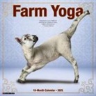 Willow Creek Press - Farm Yoga 2026 12 X 12 Wall Calendar