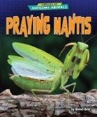 Rachel Rose - Praying Mantis