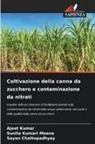 Sayan Chattopadhyay, Ajeet Kumar, Sunita Kumari Meena - Coltivazione della canna da zucchero e contaminazione da nitrati
