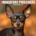 Willow Creek Press - Miniature Pinschers 2026 12 X 12 Wall Calendar