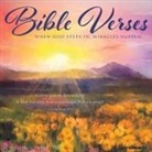 Willow Creek Press - Bible Verses 2026 12 X 12 Wall Calendar