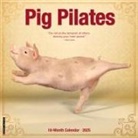 Willow Creek Press - Pig Pilates 2026 12 X 12 Wall Calendar