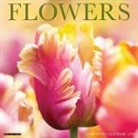 Willow Creek Press - Flowers 2026 12 X 12 Wall Calendar
