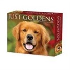 Willow Creek Press - Goldens 2026 5.4 X 6.2 Box Calendar