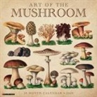 Willow Creek Press - Art of the Mushroom 2026 12 X 12 Wall Calendar