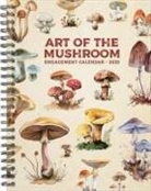 Willow Creek Press - Art of the Mushroom 2026 6.5 X 8.5 Engagement Calendar