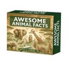 Willow Creek Press - Awesome Animal Facts 2026 5.4 X 6.2 Box Calendar