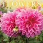 Willow Creek Press - Flowers 2026 7 X 7 Mini Wall Calendar