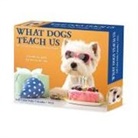 Willow Creek Press - What Dogs Teach Us 2026 5.4 X 6.2 Box Calendar