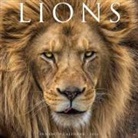 Willow Creek Press - Lions 12 X 12 Wall Calendar