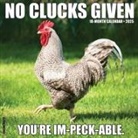 Willow Creek Press - No Clucks Given 2026 12 X 12 Wall Calendar
