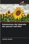 Lemlem Zeleke - Valutazione del degrado dei pascoli nell'Afar