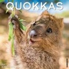 Willow Creek Press - Quokkas 2026 12 X 12 Wall Calendar
