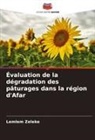 Lemlem Zeleke - Évaluation de la dégradation des pâturages dans la région d'Afar