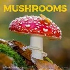 Willow Creek Press - Mushrooms 2026 12 X 12 Wall Calendar