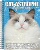 Willow Creek Press - Cat-Astrophe 2026 6.5 X 8.5 Engagement Calendar