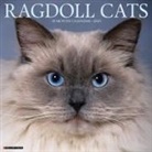 Willow Creek Press - Ragdoll Cats 2026 12 X 12 Wall Calendar