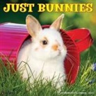 Willow Creek Press - Bunnies 2026 12 X 12 Wall Calendar
