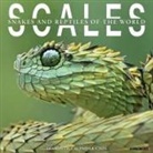 Willow Creek Press - Scales 12 X 12 Wall Calendar