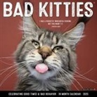 Willow Creek Press - Bad Kitties 2026 12 X 12 Wall Calendar