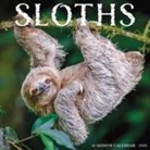 Willow Creek Press - Sloths 2026 12 X 12 Wall Calendar
