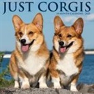 Willow Creek Press - Corgis 2026 12 X 12 Wall Calendar