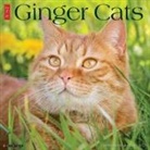 Willow Creek Press - Ginger Cats 2026 12 X 12 Wall Calendar