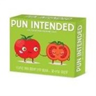 Willow Creek Press - Pun Intended 2026 5.4 X 6.2 Box Calendar