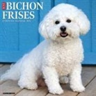Willow Creek Press - Bichon Frises 2026 12 X 12 Wall Calendar