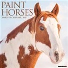 Willow Creek Press - Paint Horses 2026 12 X 12 Wall Calendar