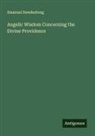 Emanuel Swedenborg - Angelic Wisdom Concerning the Divine Providence