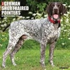 Willow Creek Press - German Shorthaired Pointers 2026 12 X 12 Wall Calendar