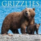 Willow Creek Press - Grizzlies 2026 12 X 12 Wall Calendar
