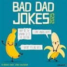 Willow Creek Press - Bad Dad Jokes 2026 12 X 12 Wall Calendar