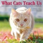 Willow Creek Press - What Cats Teach Us 2026 12 X 12 Wall Calendar