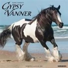 Willow Creek Press - Gypsy Vanner Horse 2026 12 X 12 Wall Calendar