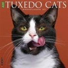 Willow Creek Press - Tuxedo Cats 2026 12 X 12 Wall Calendar