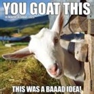 Willow Creek Press - You Goat This 2026 12 X 12 Wall Calendar