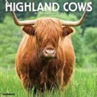 Willow Creek Press - Highland Cows 2026 12 X 12 Wall Calendar