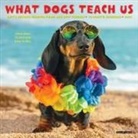 Willow Creek Press - What Dogs Teach Us 2026 7 X 7 Mini Wall Calendar