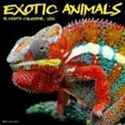 Willow Creek Press - Exotic Animals 12 X 12 Wall Calendar