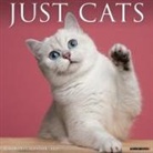 Willow Creek Press - Cats 2026 12 X 12 Wall Calendar