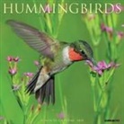 Willow Creek Press - Hummingbirds 2026 12 X 12 Wall Calendar
