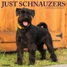 Willow Creek Press - Schnauzers 2026 12 X 12 Wall Calendar