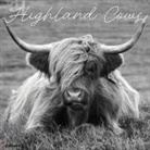 Willow Creek Press - Highland Cows B&w 12 X 12 Wall Calendar