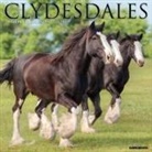 Willow Creek Press - Clydesdales 2026 12 X 12 Wall Calendar