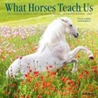Willow Creek Press - What Horses Teach Us 2026 7 X 7 Mini Wall Calendar