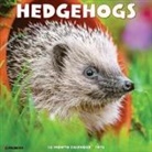 Willow Creek Press - Hedgehogs 2026 12 X 12 Wall Calendar